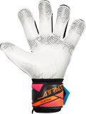 Reusch Attrakt Advance Evolution Glueprint 5670163 7090 schwarz back